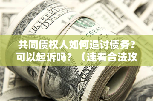 济南共同债权人如何追讨债务？可以起诉吗？（速看合法攻略）