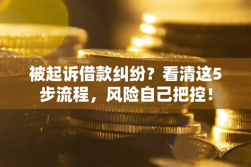 济南被起诉借款纠纷？看清这5步流程，风险自己把控！