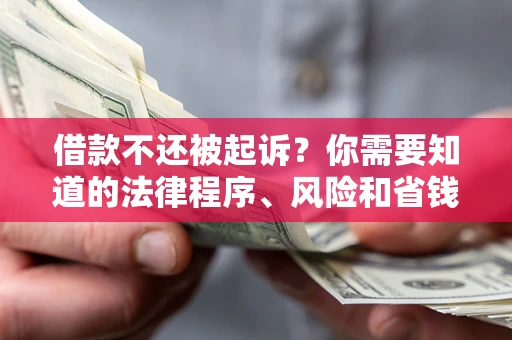 济南借款不还被起诉？你需要知道的法律程序、风险和省钱技巧