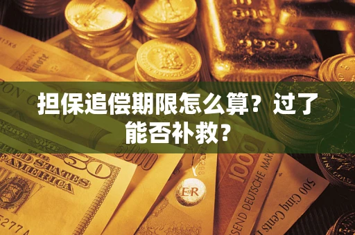 济南担保追偿期限怎么算？过了能否补救？